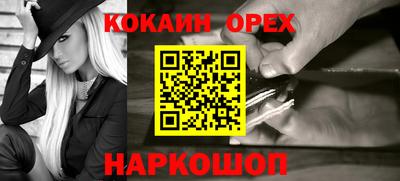 крисы Моздок