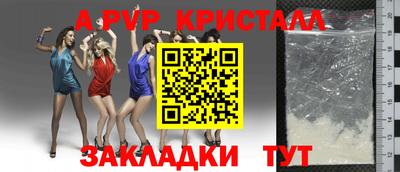крисы Моздок