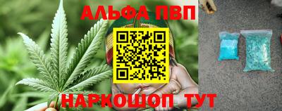 крисы Моздок