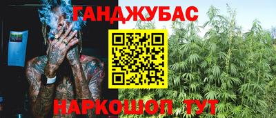 крисы Моздок