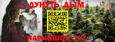 крисы Моздок
