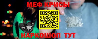 крисы Моздок