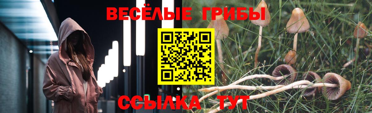Севастополь  Псилоцибиновые грибы MAGIC MUSHROOMS  Вход с VPN  где найти наркотики  Галлюциногенные грибы ЛСД 