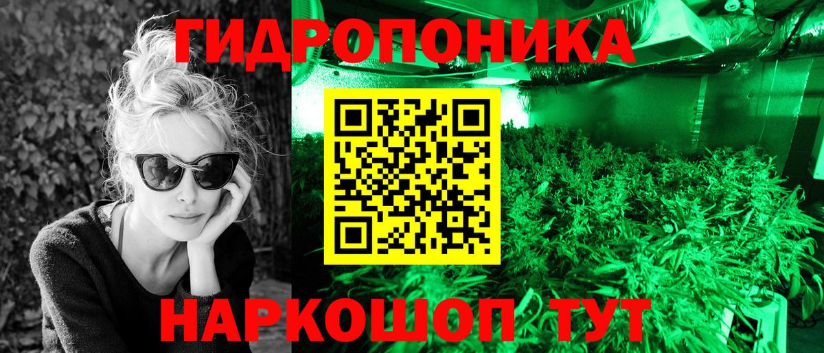 Марихуана планчик  Вход с VPN  Севастополь  Марихуана White Widow  Шишки марихуана планчик 